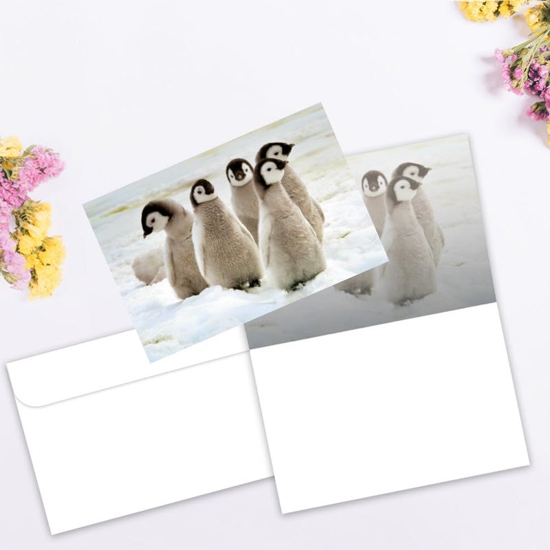 Tree-Free Greetings EcoNotes 12 Count Emperor Penguin Chicks All Occasion Notecard Set with Envelopes, 4 x 6 Inches (FS56926) - Image 2